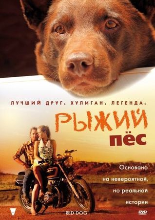 Смотреть фильм Рыжий пес